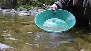 Goldpanning Stave lake