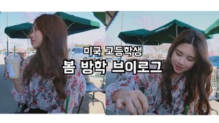 미국 고등학생의 봄 방학 브이로그 spring break vlog