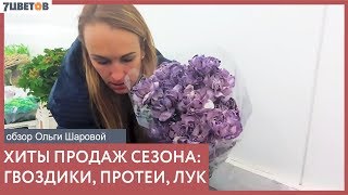 Супер-хит сезона - гвоздика Лайт Молли, аллиум и протеи / Обзор срезанных цветов с Ольгой Шаровой