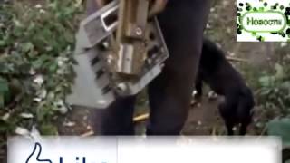 Запрещенное в Украине, шокирующее видео!!! Иловайский котёл   вся ПРАВДА! Донбасс АТО