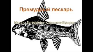 Михаил Евграфович Салтыков  Щедрин.  Премудрый пескарь. кратко