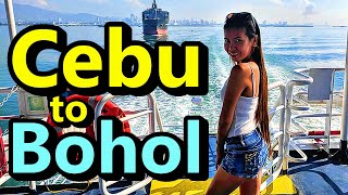 Cebu to Bohol Philippines Tour Wanderlusting Southeast Asia