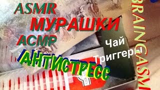 51? ? АСМР ..ASMR. Вскрываем УПАКОВКУ ЧАЙ tea СЛЮДА ШЕПОТ шуршим Слюдой Мурашки RELAX BRAINGASМ