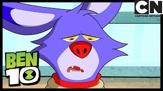 Звали его Зинго | Бен 10 на русском | Cartoon Network