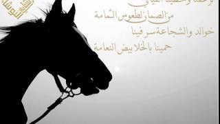 (قصيده تلخص تاريخ وقوة دولة بني خالد )