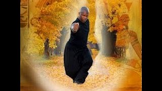 MB Shaolin Kung Fu-Martial Arts Warrior Training from A to Z Pt.1. Great Fundamentals!