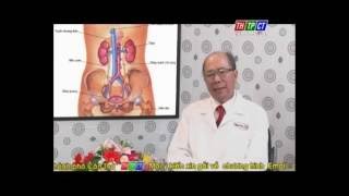 TKM Tôi Khỏe Mạnh: Viêm đường tiết niệu và cách điều trị hiệu quả nhất | Alô Bác Sĩ