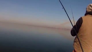 Самая захватывающая игра - вываживание. Увлекательная ловля судака. Момент истины и адреналина.