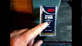 CCI Maxi Mag 22 WMR  vs 2x4 will it penetrate?
