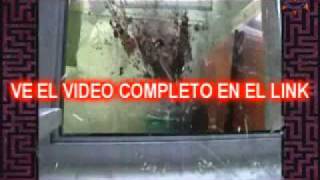 Proyecto de Tesis: Cosas que Explotan con Ultra-violencia (gore y snuff)