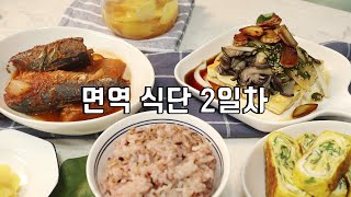 신종 코로나바이러스 OUT | 면역력에 좋은 음식 | 우한 폐렴 예방 식단 2일차