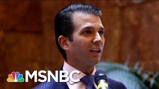 Steve Bannon Reveals Key Insights Into President Donald Trump And His Family In New Book | MSNBC