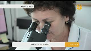 В Кызылорде женщина скончалась от конго-крымской геморрагической лихорадки