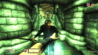 TES 4: Oblivion. Прохождение "Сказка о потерянном счастье" (Lost Happines)#28: Бандиты (продолжение)