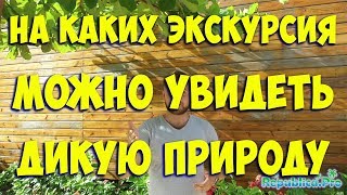 На каких экскурсия можно увидеть дикую природу? Доминкиана ПунтаКана доминикана экскурсии
