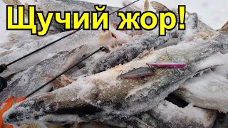РАТЛИН на щуку. Щука на виб. Зимняя рыбалка 2020