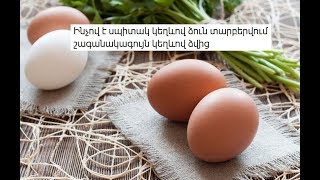 Ինչով է սպիտակ կեղևով ձուն տարբերվում շագանակագույն կեղևով ձվից