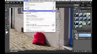 Suppression d'un élément sur une photo avec Photoshop Elements