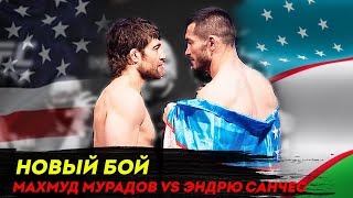 АНА ХОЛОС! Makhmud Muradov vs. Andrew Sanchez / МАХМУД МУРАДОВ vs ЭНДРЮ САНЧЕС НИГОХЛАР ЖАНГИ