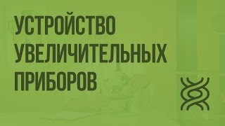 Устройство увеличительных приборов. Видеоурок по биологии 5 класс