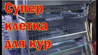Клетка для кур-несушек 2019