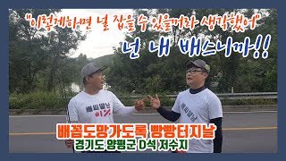 경기도 양평군 D저수지/베이트릴 사용방법/장점과 문제점/백러쉬/최민수 성대묘사/이렇게하면 널 잡을 수 있을거라 생각했어. 넌 내 배스니까!!