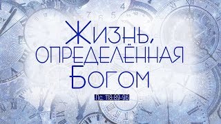 Предновогодняя проповедь: "Жизнь, определенная Богом" (Алексей Коломийцев)