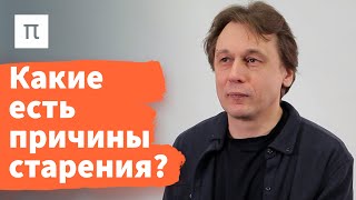 Что такое старение — Вадим Гладышев 