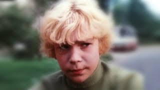 ? Крылатые качели (кавер от VGEvery)