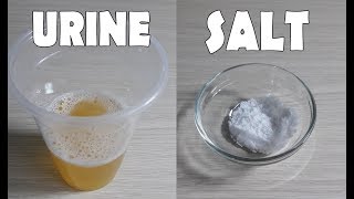 Home Pregnancy Test With Salt | Pregnancy Test With Salt Positive | Pregnancy Test At Home