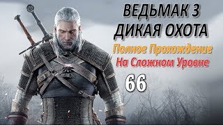 Ведьмак 3 Дикая Охота Проф. Прохождение Ч.66 - Очень Ценный Рог/Дракон/Высшая Алхимия (Кв.)