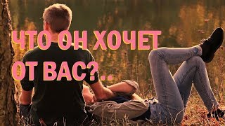 ЧТО ХОЧЕТ ОТ ВАС ЗГАДАННЫЙ ЧЕЛОВЕК. ГАДАНИЕ ОНЛАЙН ТАРО / ОРАКУЛ. ALEHANDRO LIVE