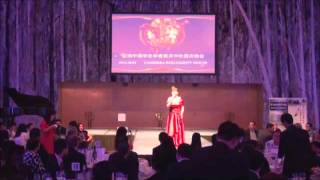 《中国梦》澳大利亚 国会山晚会 04 第一章歌曲《情对祖国讲，爱对祖国说》