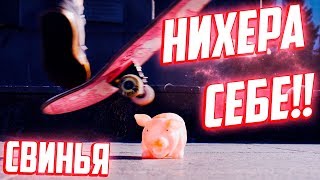 СВИННОЙ ПЕРЕДОЗ | Купил свиней как у Гоблина | ВЛОГ
