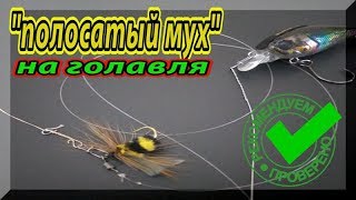 Рабочая "Мушка" на Голавля с Алиэкспресс. Ловля Голавля На Спиннинг.
