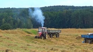 Żniwa 2016 po Sąsiedzku ! International 321 & Ursus C360 ! Głuchów Team