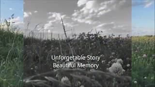 "Beautiful Memory" chuntianle - Self Composed Music