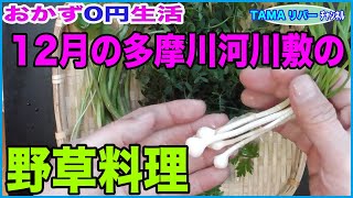 【おかず0円生活】多摩川河川敷で採取した12月の野草料理