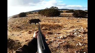 Top 10 Slow Motion Shots | Wild Boar Hunting,Chasse Sanglier