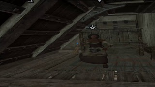 Skyrim VR online