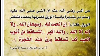 الداعية محمد العدناني الجزء الثالث  الطهارة