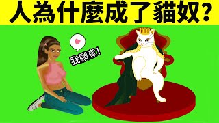 人為什麼會變成貓奴？吸貓成癮原來是因為這個？！