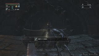 Bloodborne - 聖杯ダンジョン編 Part 15 ・深きトゥメル遺跡 第二層/Lower Pthumeru Chalice Layer 2