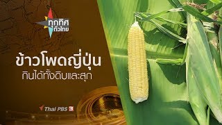ทุกทิศทั่วไทย: ประเด็นข่าว (7 พ.ย. 62)