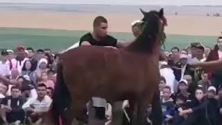 Сабантуй 2019 Рыбушкино