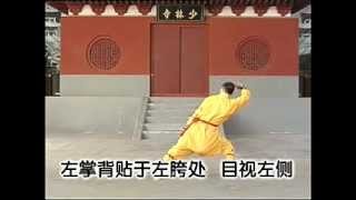 Shaolin Kung Fu: Da Hong Quan (read description)