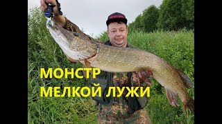 Бой с Трофейной Щукой! Воблер который приносит Щук 7+ кг.