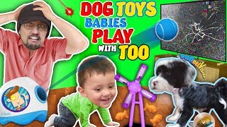 DOG TOYS that Break your TV!  (FUNnel Vision Vlog)