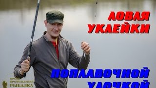Ловля уклейки поплавочной удочкой