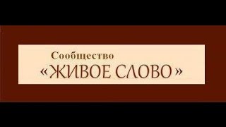 Алексей Гомазков